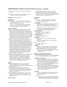 AMOXICILLIN AND CLAVULANATE (Veterinary—Systemic)