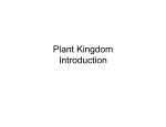 Plant Kingdom Introduction