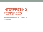 Interpreting Pedigrees