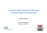 BHs and effective quantum gravity approaches