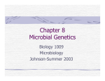Chapter 8 Microbial Genetics