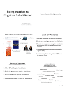 Six Approaches to Cognitive Rehabilitation