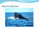 Marine Biomes