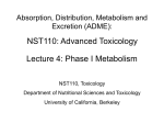 NST110: Advanced Toxicology Lecture 4: Phase I Metabolism