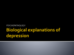 BIOLOGICAL EXPLANATIONS OF DEPRESSION File