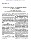 Urinary Tract Infection by Trichomonas vaginalis