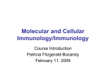 Molecular and Cellular Immunology/Immunology