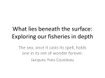 What lies beneath the surface: Exploring our
