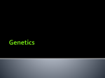 Chromosomal Abnormalities