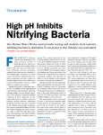 Nitrifying Bacteria - Florida Rural Water Association