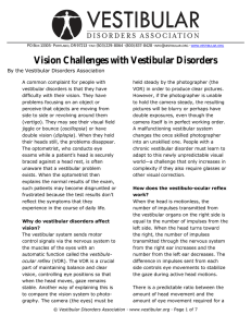 2 . Vision Challenges with Vestibular Disorders