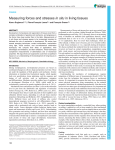 Measuring forces and stresses in situ in living tissues