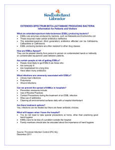 extended-spectrum beta-lactamase producing bacteria