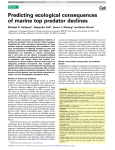 Predicting ecological consequences of marine top predator declines