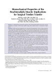 Biomechanical Properties of the Brachioradialis Muscle: Implications