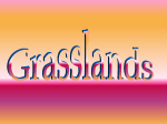 Grasslands PowerPoin