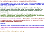Lipid Metabolizması - mustafaaltinisik.org.uk