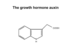 The growth hormone auxin