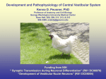 Developmental and Pathophysiological Studies of Vestibular