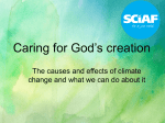 Caring for God`s creation