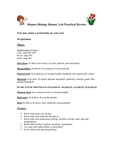 Honors Biology Botany Lab Practical Review