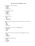 Nervous Lecture Test Questions – Set 1