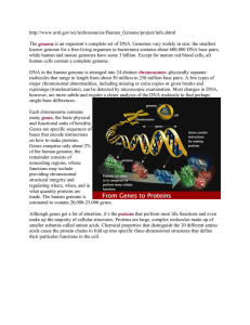 The genome is an organism`s complete set of DNA