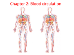 right ventricle to the pulmonary artery