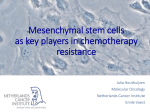 Mesenchymal stem cells as key players in chemotherapy resistance