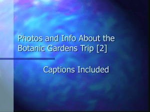 Photos and Info About the Botanic Gardens Trip [2]