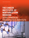 the cancer institutes at northwestern medicine developmental