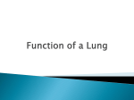 Function of a Lung