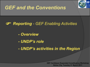 UNDP Presentation - Global Environment Facility