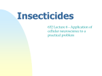 Effect of Insecticides on Neural function