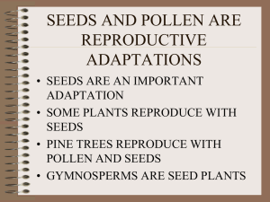 SEEDS AND POLLEN ARE REPRODUCTIVE ADAPTATIONS