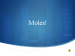 Moles! - Ms. Johnson Teaches Science!