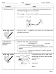 Name: Date: Grade / Section: _____ Neurons Questions Notes 1