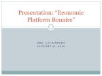 Presentation: *Economic Platform Bonaire*