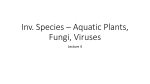 Lecture * Aquatic Plants, Fungi, Viruses