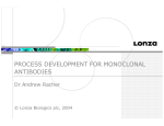 process development for monoclonal antibodies