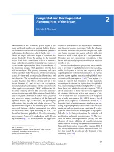 Congenital and Developmental Abnormalities of