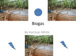 Biogas - WordPress.com