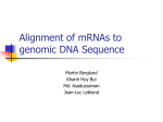Alignment of mRNA to genomic DNA Sequence