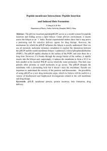 Induction of membrane hole by pH low