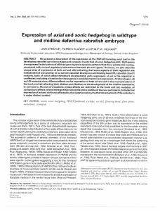 Expression of axial and sonic hedgehog in wildtype and midline