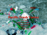 Pacific Trash Vortex