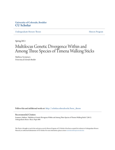 Multilocus Genetic Divergence Within and Among