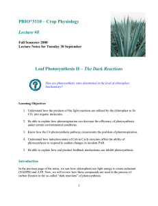 PBIO*3110 – Crop Physiology Lecture #8 Leaf Photosynthesis II