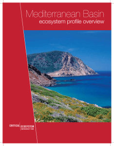 Mediterranean Basin - BirdLife International