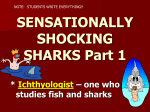 SENSATIONALLY SHOCKING SHARKS Part 1